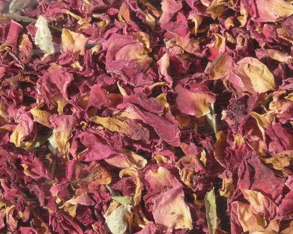 Rosenblütenblätter rot Nagertraum von Hugro